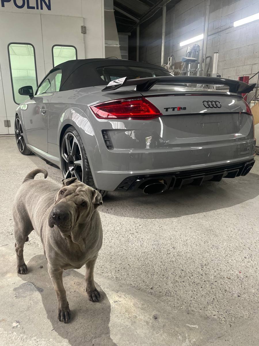 Audi TT RS grise devant la cabine de peinture, le chien de l'atelier au premier plan